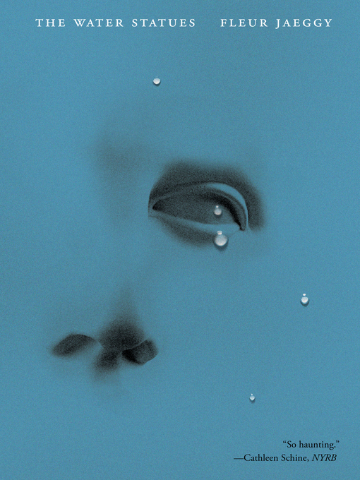 Title details for The Water Statues by Fleur Jaeggy - Wait list